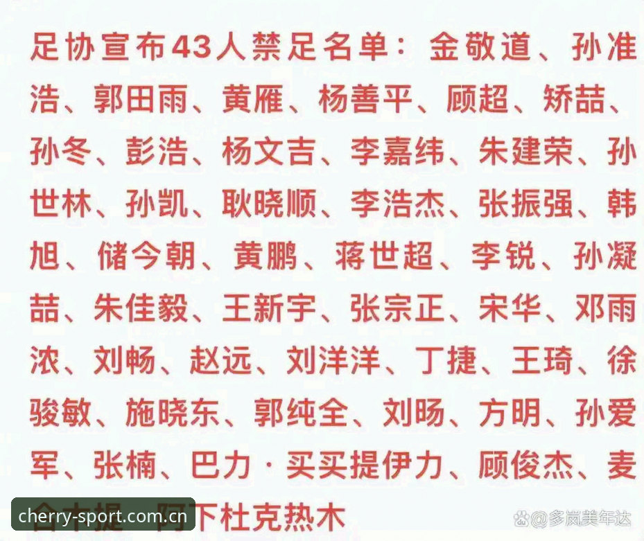 中国足协第三批禁足名单全面解析：17人终身禁赛背后的行业震荡