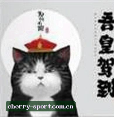 王姐